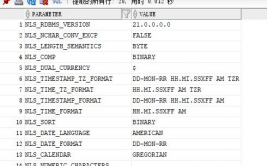 检查oracle数据库字符集,深化解析Oracle数据库字符集检查办法