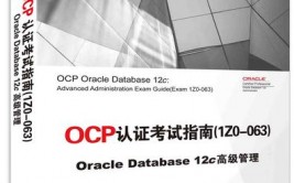 oracle怎么创立数据库,Oracle数据库创立攻略