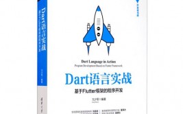 dart是什么意思, 什么是Dart言语？