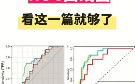 r言语roc曲线,办法与实践