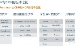 hdp大数据,架构、优势与未来展望