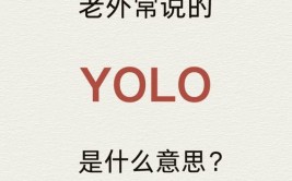 机器学习yolo,什么是YOLO？