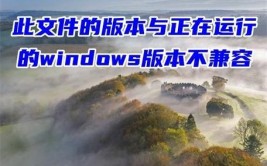 此文件的版别与正在运转的windows版别不兼容,处理“此文件的版别与正在运转的Windows版别不兼容”问题的全面攻略