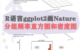 r言语直方图,深化解析数据散布的利器