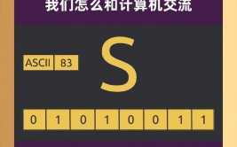 数据库asc,什么是数据库中的 ASC？