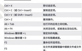 windows10操作体系是什么