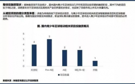 足球大数据剖析,揭秘现代足球的才智革新