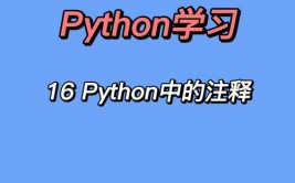 python注释,进步代码可读性与可维护性