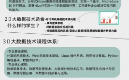 大数据的相关技能,大数据技能概述