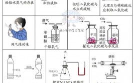 数据库试验总结