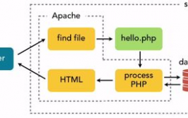 PHP效果,PHP在Web开发中的运用