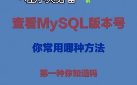 怎么看mysql版别,怎么检查MySQL版别