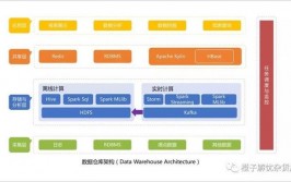 vs数据库,什么是VS数据库？