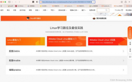 阿里linux,引领企业级操作体系新潮流