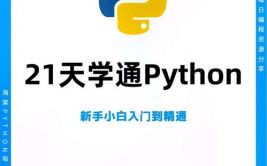 自学python难吗,自学Python难吗？——揭秘Python自学之路