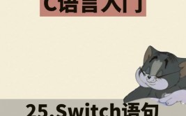 java switch句子用法, 什么是switch句子？