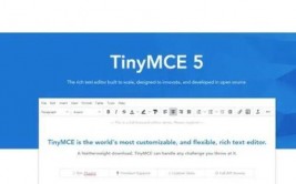 html编辑器设置为word,```html        Rich Text Editor Example                tinymce.init;    