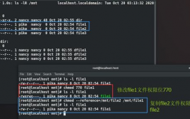 linux中chmod,什么是chmod指令？