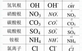 html根本结构代码,```html            Document Title