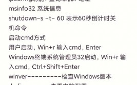 windows运转甲由,高效办理体系的利器