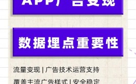 大数据变现,大数据年代的降临与变现的重要性