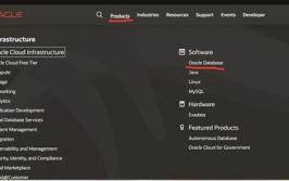 oracle数据库版别,Oracle数据库版别概述