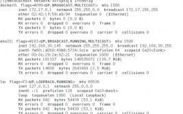 linux检查网卡,Linux体系下检查网卡装备的具体攻略