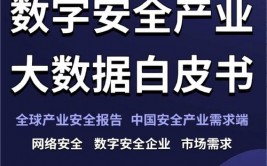 开源存储,构建高效、安全的数字国际柱石