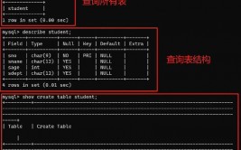 mysql批量删去表,高效办理数据库的办法