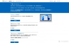 windows10装置失利