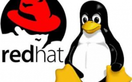 红帽linux官网,企业级处理方案的威望渠道