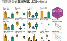 r言语论坛,R言语在数据剖析中的运用与优势