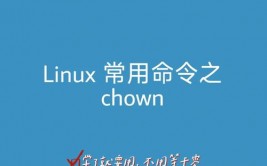 linux修正文件夹所属用户,linux修正文件夹所属用户和组