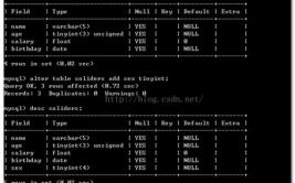 mysql数据库规划,MySQL数据库规划的重要性