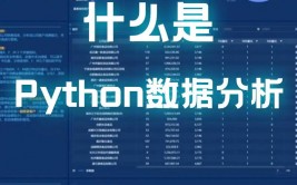 python与大数据剖析,Python在大数据剖析中的运用与优势