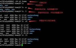 linux树立目录,什么是目录