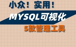 mysql数据库有什么用,现代数据办理的中心东西