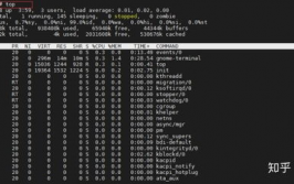 linux指令top,体系功用监控的得力助手