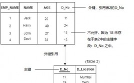 联系数据库中元组又称,界说与重要性