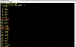 linux杀死进程,什么是进程？