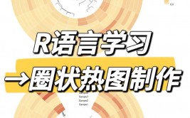 r言语热力求,从根底到进阶