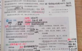 国家法规数据库,法治建造的柱石与信息时代的产品