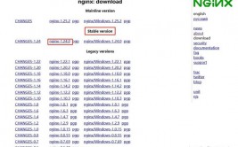 windows发动nginx,Windows体系下发动Nginx服务详解