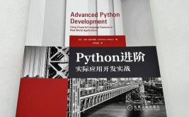 python大数据开发,技能趋势与实战运用