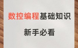 r言语在线编程,轻松入门与高效实践