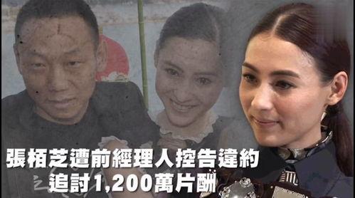 娱乐吃瓜399,揭秘娱乐圈幕后故事