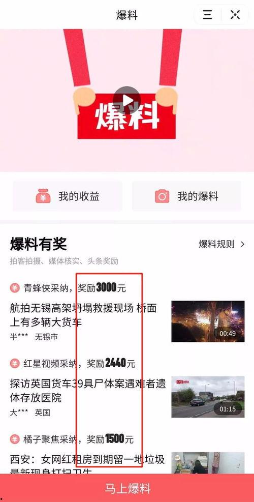 阜阳头条最新爆料,最新爆料事件深度解析 第3张 阜阳头条最新爆料,最新爆料事件深度解析 第3张