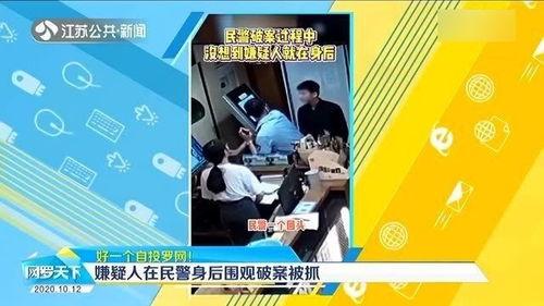 破案又吃瓜免费阅读,瓜田里的正义传奇 第2张 破案又吃瓜免费阅读,瓜田里的正义传奇 第2张