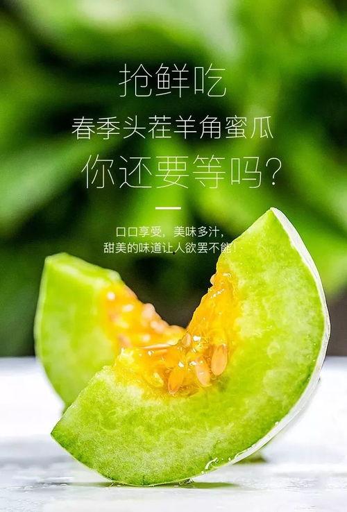 网红吃瓜记录最新,盘点那些年我们追过的热点事件 第3张 网红吃瓜记录最新,盘点那些年我们追过的热点事件 第3张