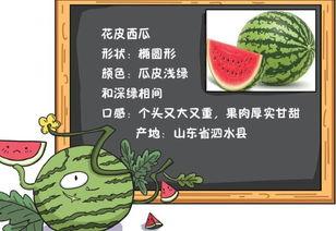读我心声吃大瓜魏思瑶免费全集,魏思瑶免费全集,揭秘情感纠葛与成长历程 第2张 读我心声吃大瓜魏思瑶免费全集,魏思瑶免费全集,揭秘情感纠葛与成长历程 第2张